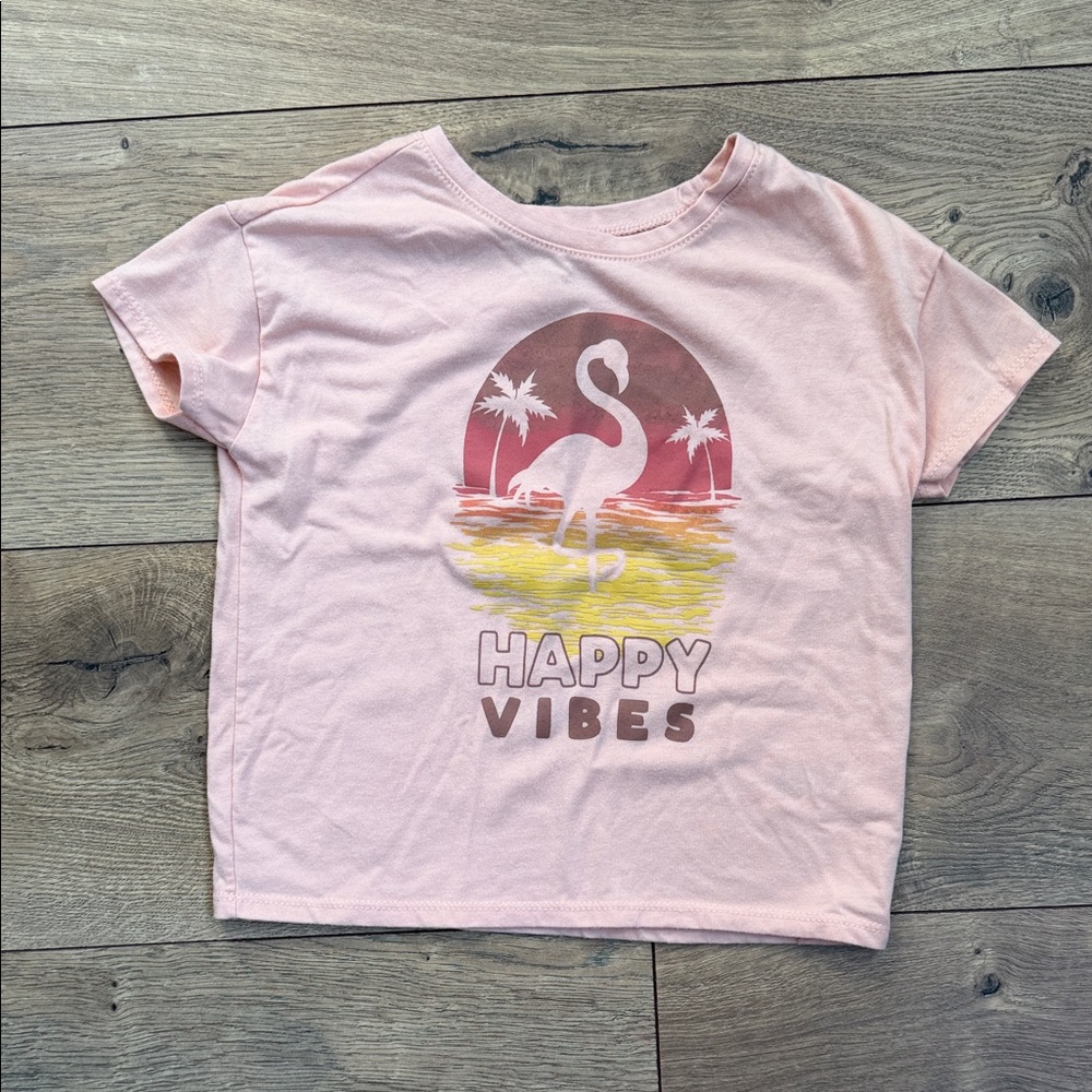 Toddler Girls Flmaingo Tee Size 3T